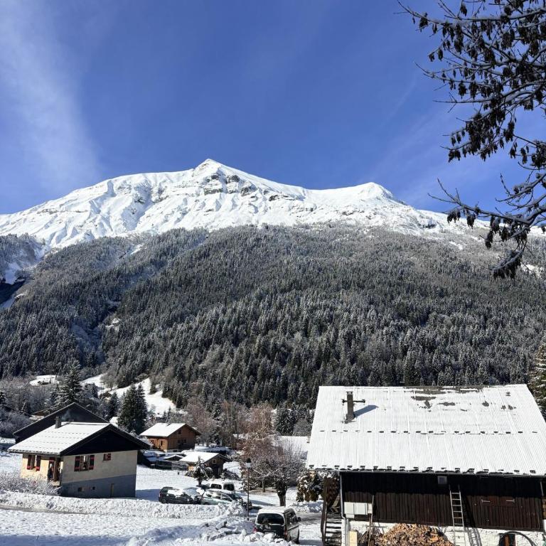 Chalet familial au pied des randonnées - Appartement rénové en rdc proche du centre - Linge inclus - Appartamento con 3 Camere da Letto - 15