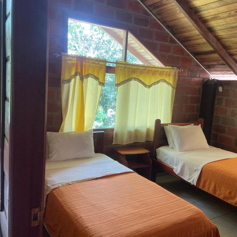 Casa del Bosque Suite - One-Bedroom Apartment - 2