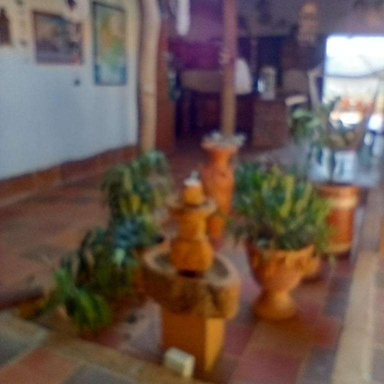 Finca Encanto - Casa de 2 dormitorios - 53