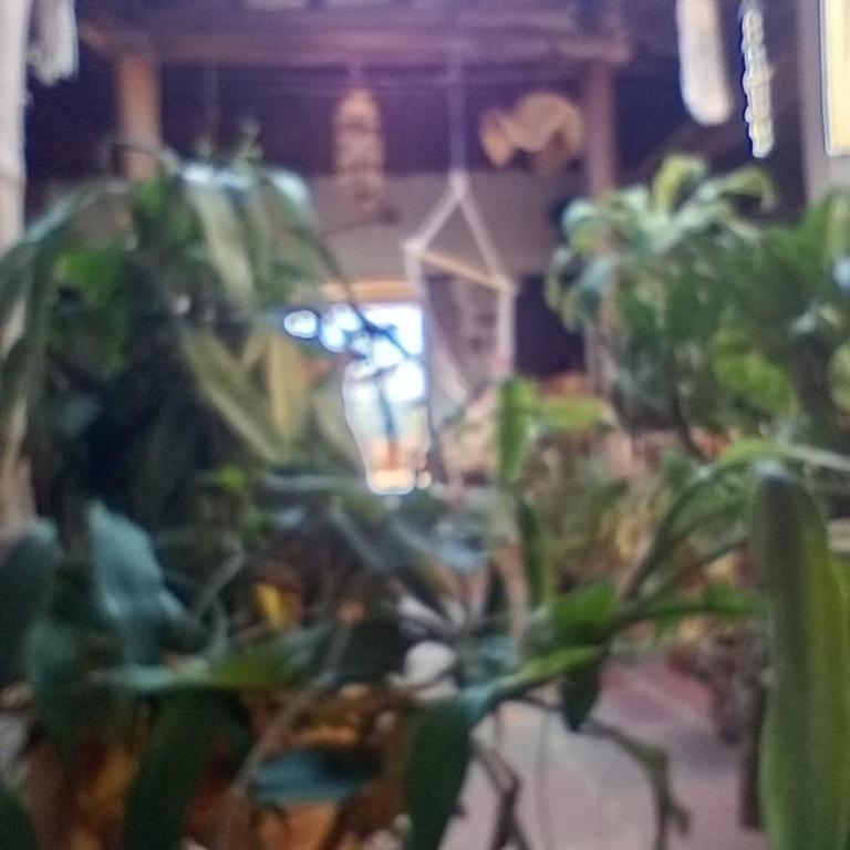 Finca Encanto - Casa de 2 dormitorios - 57