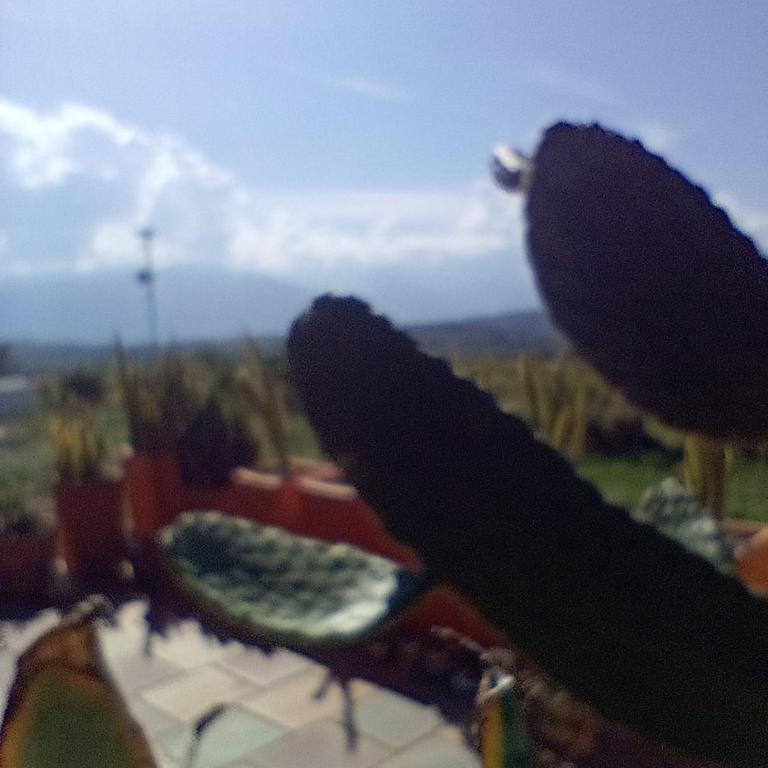 Finca Encanto - Casa de 2 dormitorios - 66