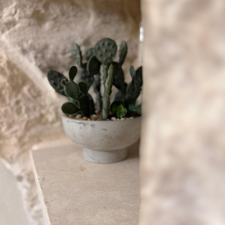Siede la Terra - Trullo con piscina - Villa con 1 Camera da Letto - 40