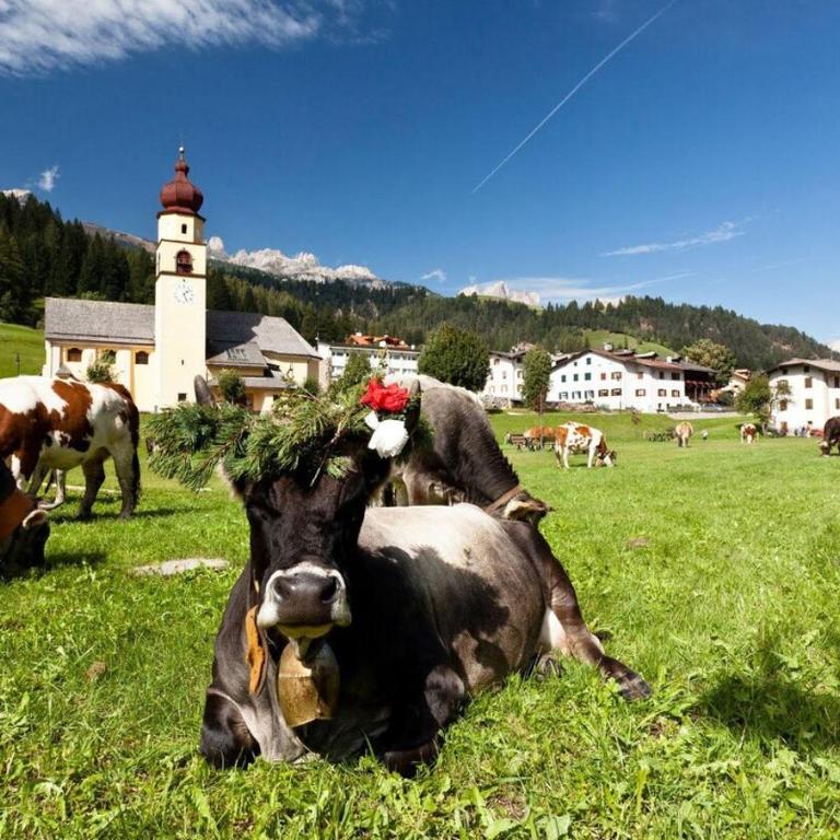 Ciasa Le Giare - Appartamento Dolomiti - Appartamento con 3 Camere da Letto - 8
