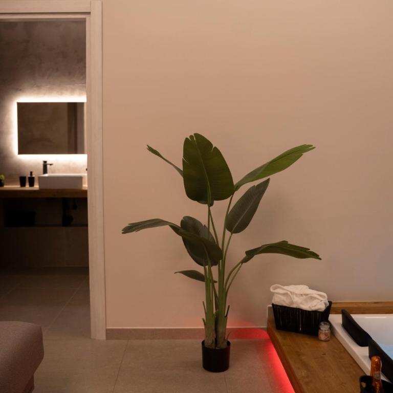 Suite 28 - One-Bedroom Apartment - 4