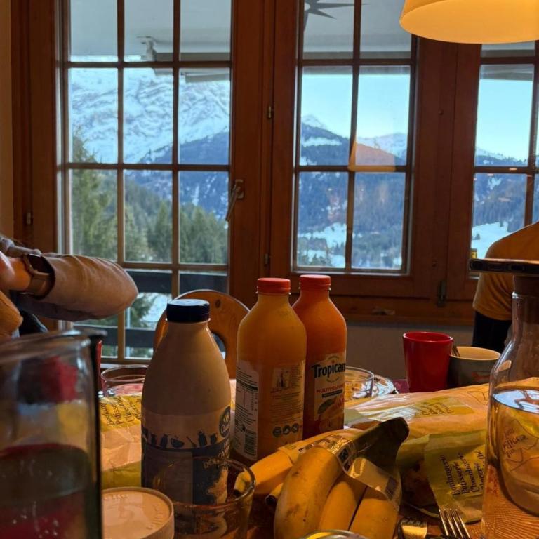 El Balcón des Diablerets - Apartment mit 1 Schlafzimmer - 6