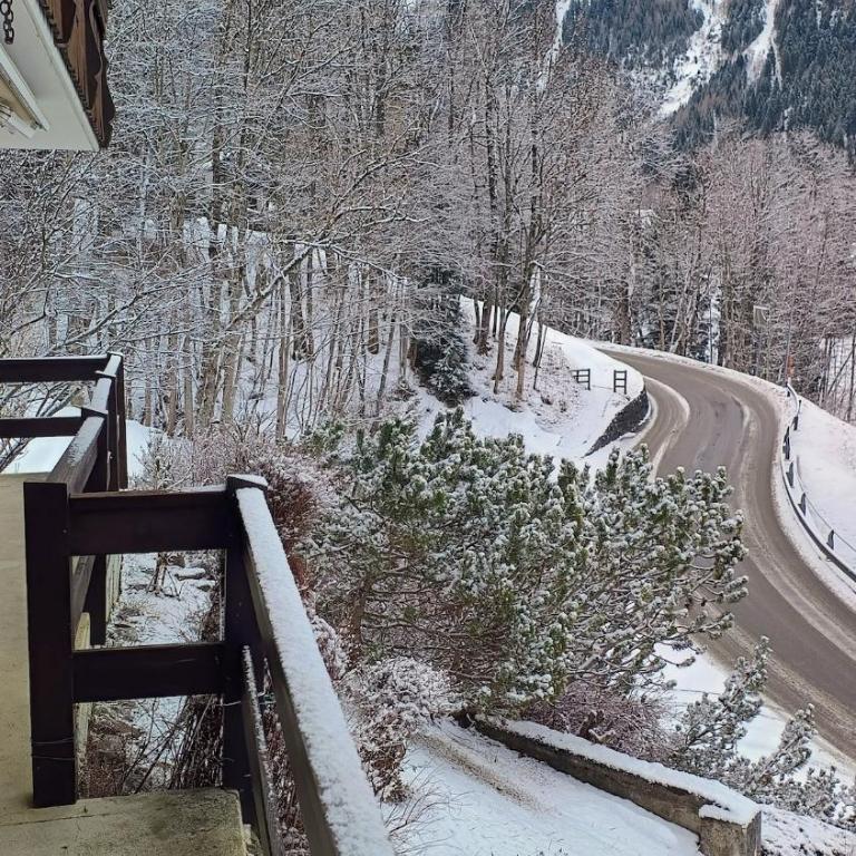 El Balcón des Diablerets - Apartment mit 1 Schlafzimmer - 9
