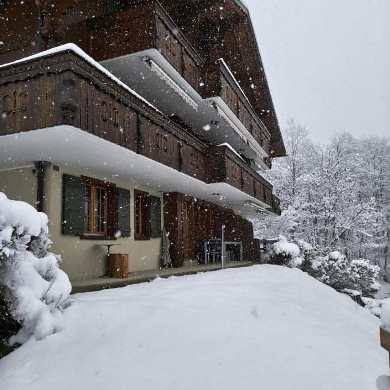 El Balcón des Diablerets - Apartment mit 1 Schlafzimmer - 20