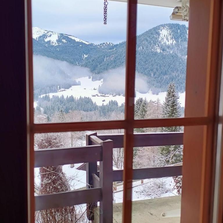 El Balcón des Diablerets - Apartment mit 1 Schlafzimmer - 25