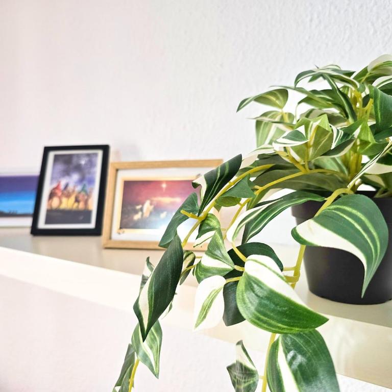 Sunny Breeze - Apartamento Estudio - 14