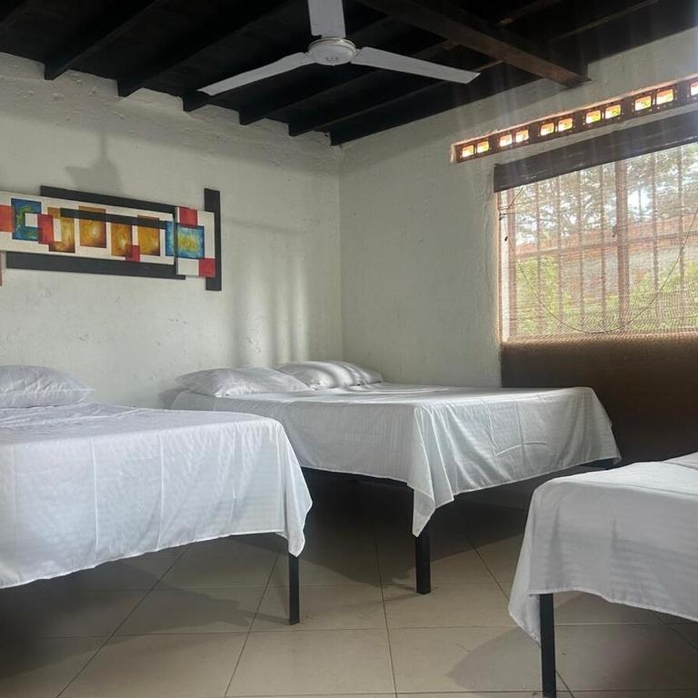 La Primavera Country House - Four-Bedroom House - 6
