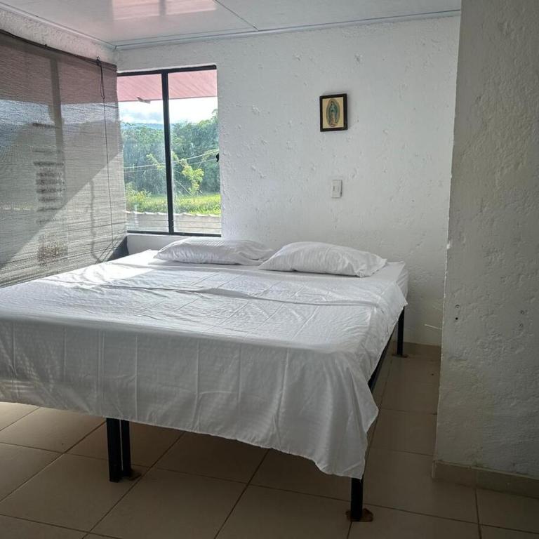 La Primavera Country House - Four-Bedroom House - 17