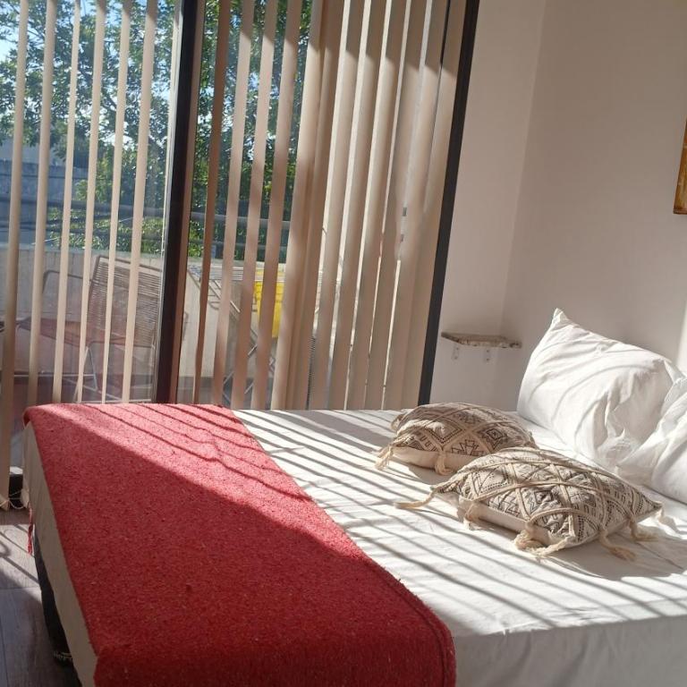 Lino - Apartamento de 2 dormitorios - 2