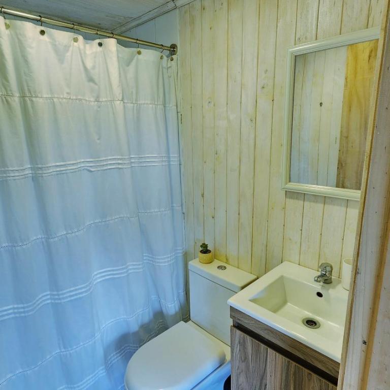 Loft Puro Ranco - One-Bedroom Chalet - 9