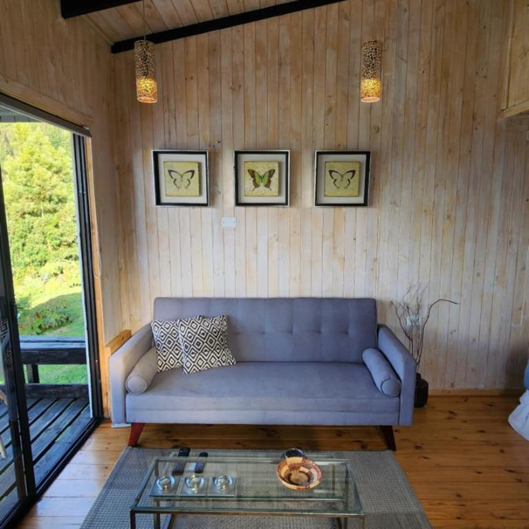 Loft Puro Ranco - One-Bedroom Chalet - 4