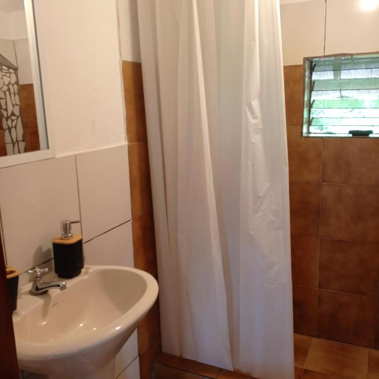 Apartamento completo para 8 personas, Casa Oasis Galápagos - Apartment - 9