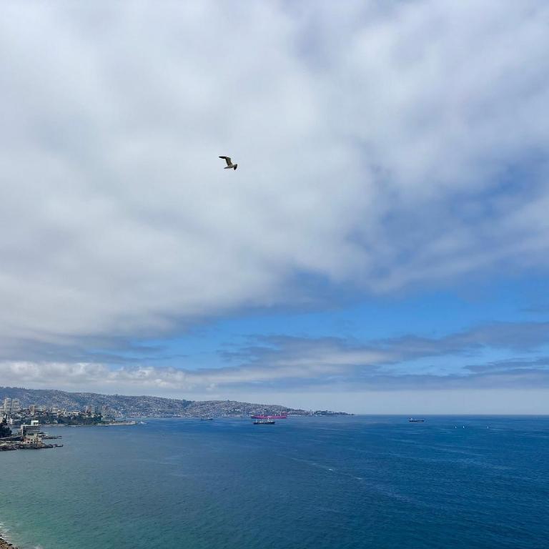 Depto Vista plena al Mar en Av San Martin - Apartamento - 22