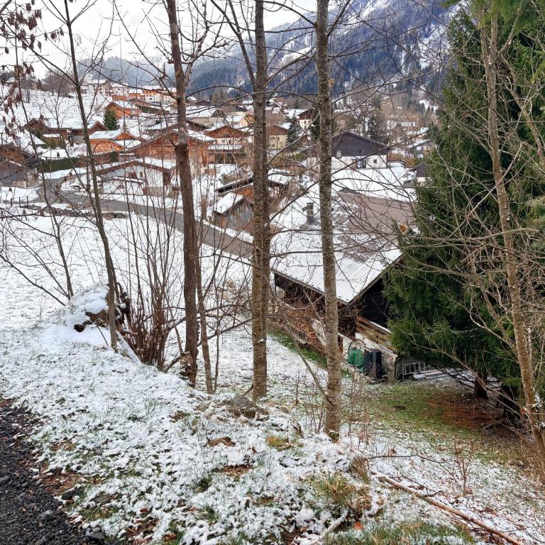 Chalet familial au pied des randonnées - Appartement rénové en rdc proche du centre - Linge inclus - Appartamento con 3 Camere da Letto - 35