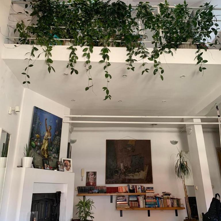 Urban Jungle Skygarden - Apartment - 1