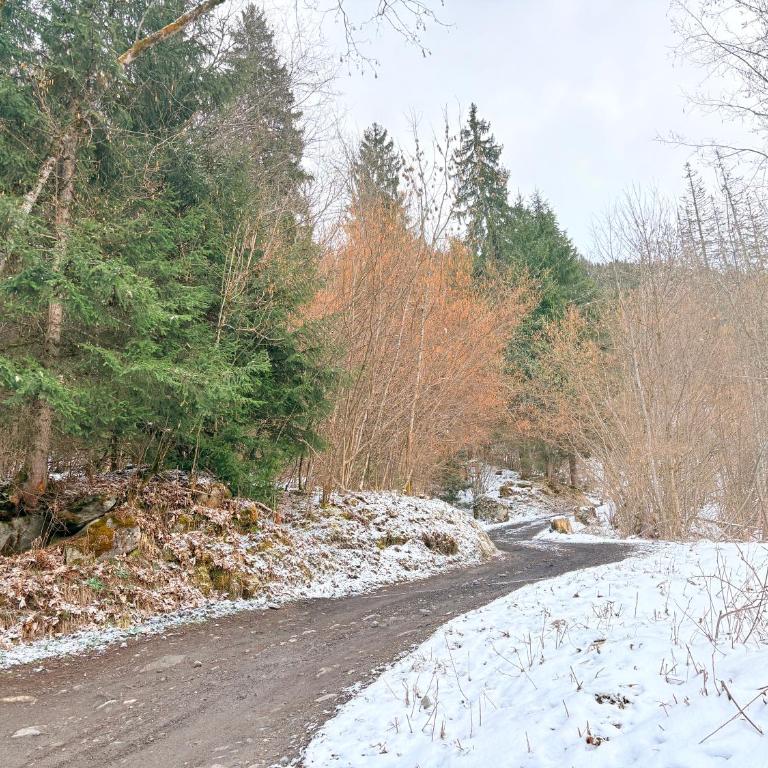 Chalet familial au pied des randonnées - Appartement rénové en rdc proche du centre - Linge inclus - Appartamento con 3 Camere da Letto - 38