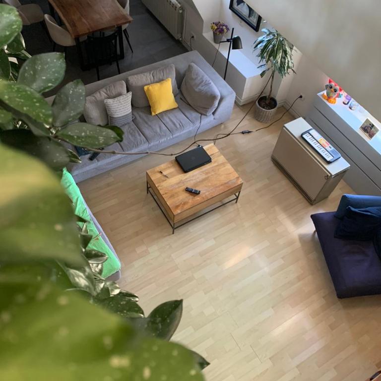 Urban Jungle Skygarden - Apartment - 2