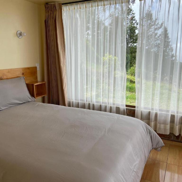 Inti Amanta Lodge - Double Room with Mountain View - 7