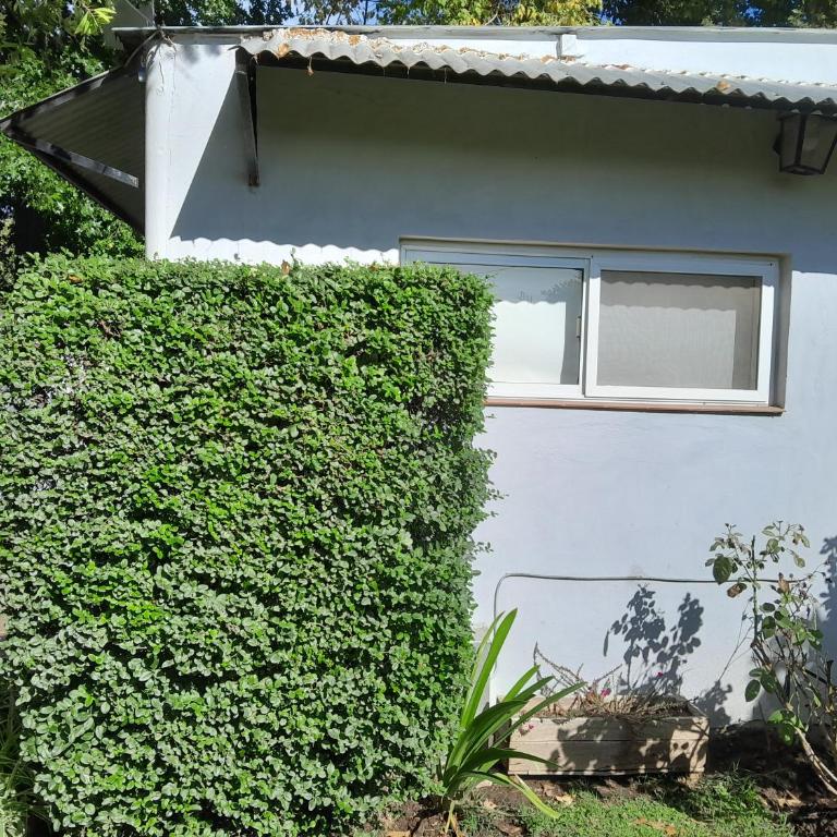 Depto - Apartamento de 1 dormitorio - 5