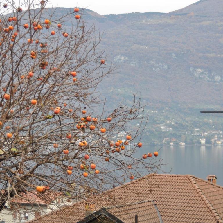 Casa Katia - Appartamento con Vista Lago - 18