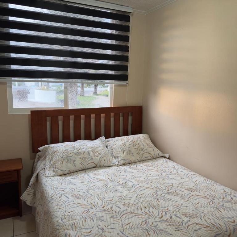 Departamento Nova Pacifico - Apartamento de 3 dormitorios - 11