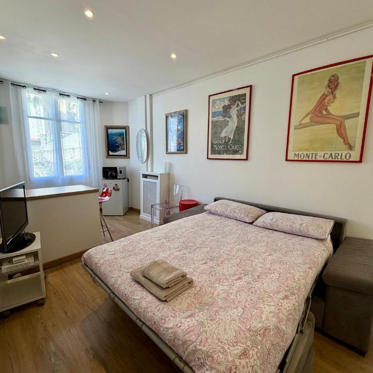 Charmant studio alle porte di Monte-Carlo - Studio - 2