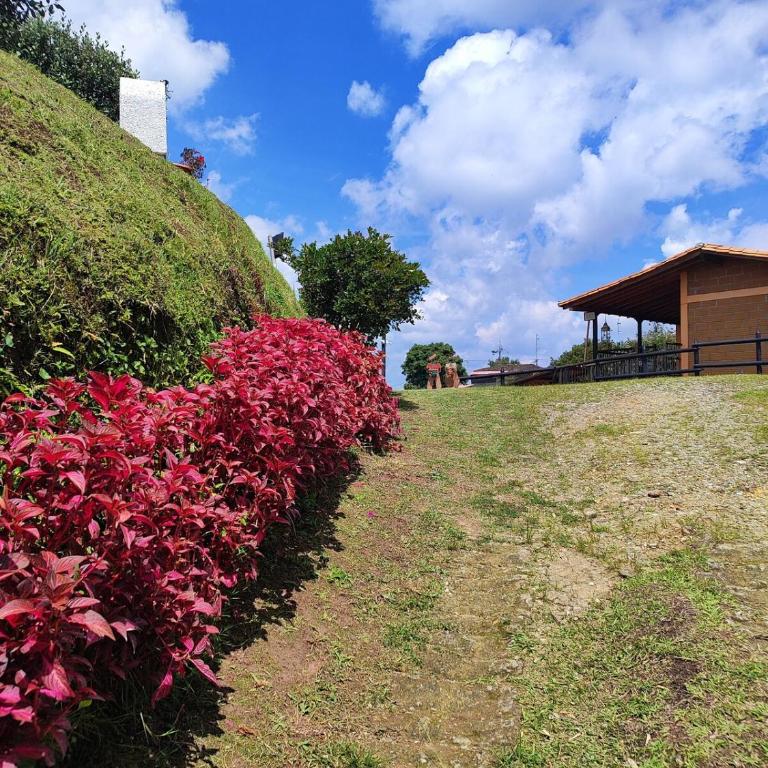 Finca Cercanías Marinilla - Casa Campestre - Vacation Home - 8