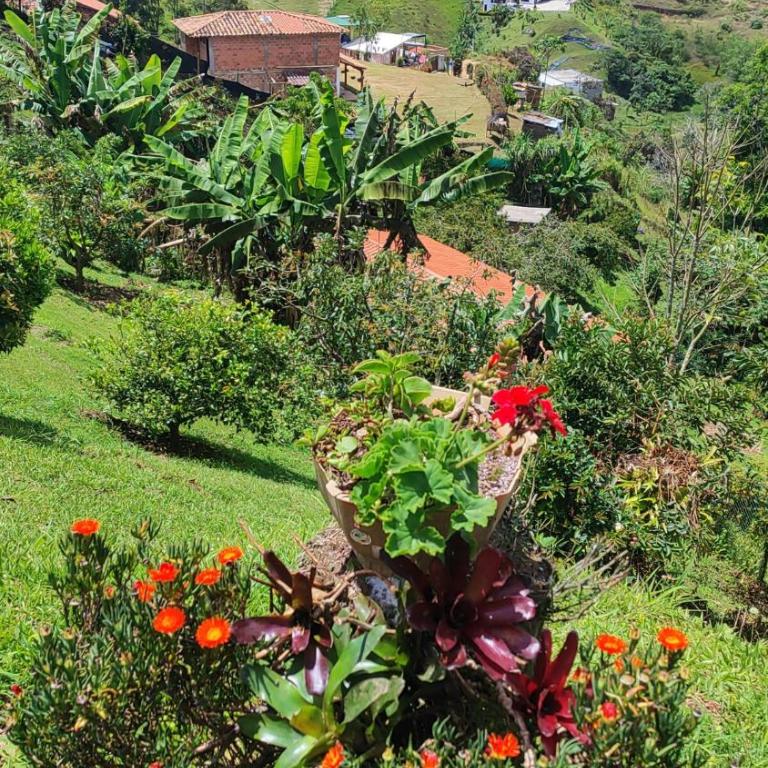 Finca Cercanías Marinilla - Casa Campestre - Vacation Home - 17