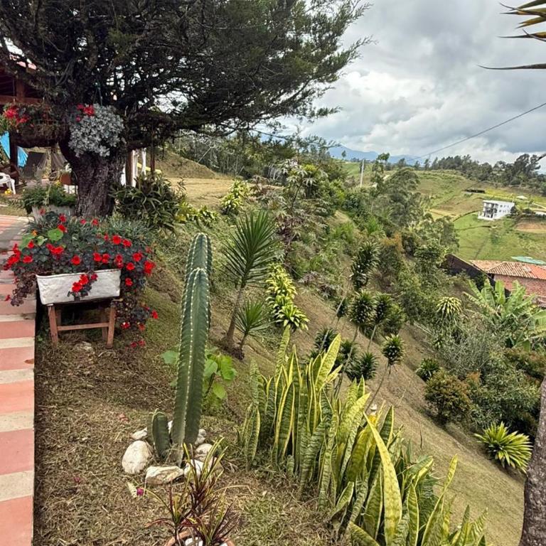 Finca Cercanías Marinilla - Casa Campestre - Vacation Home - 58