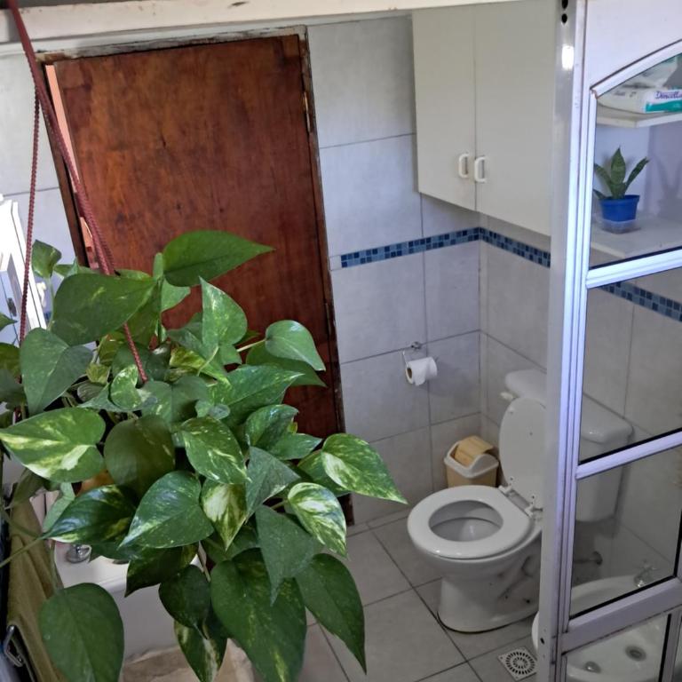 Estancia Loma de los Vientos - Casa con 1 dormitorio - 5