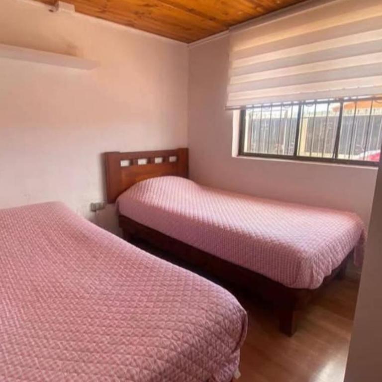 Lautaro - Three-Bedroom House - 7