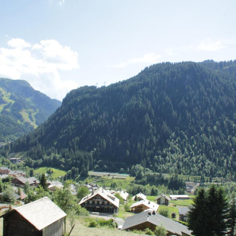 Apartment in Chatel near Cable Car - Appartement 1 Chambre - 6