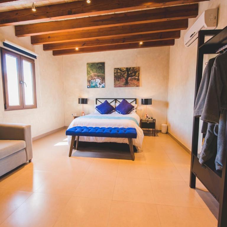 COSIJOPI · Spacious Colonial Home with Terrace - Casa - 25