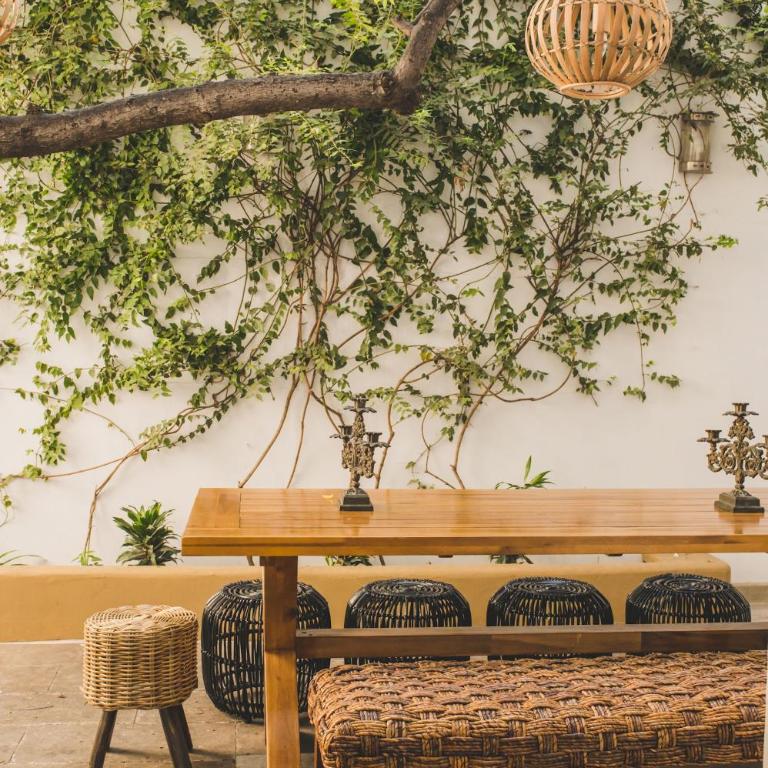 COSIJOPI · Spacious Colonial Home with Terrace - Casa - 37