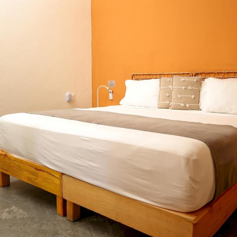 REGIONES - VALLES · Comfort Stay for 3 Near Zócalo - Apartamento - 16