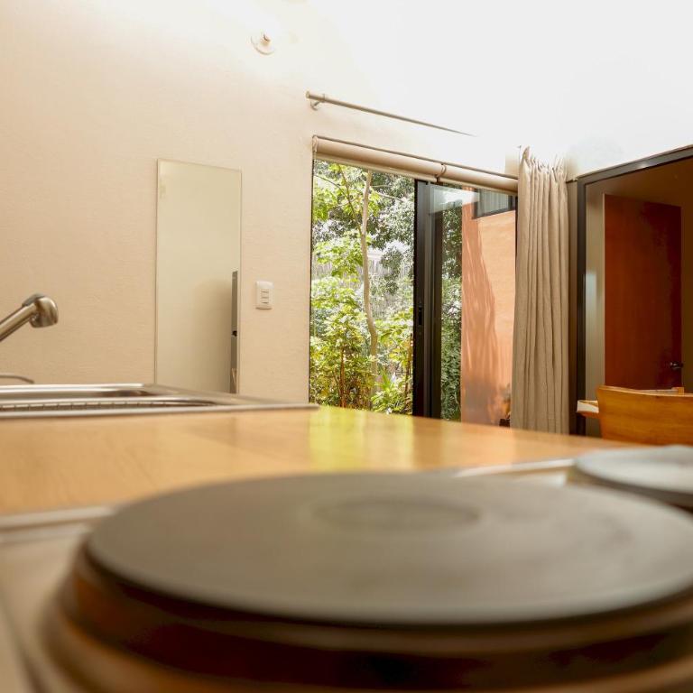 REGIONES - VALLES · Comfort Stay for 3 Near Zócalo - Apartamento - 18