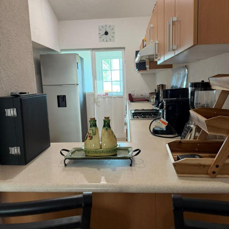 Espectacular Depa cerca de playa y Arena GNP - Apartamento de 3 dormitorios - 25