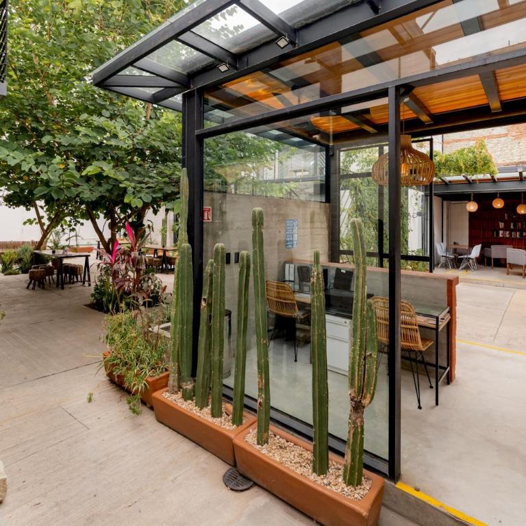 GARCIA 3 · Spacious four Bedroom apt with Garden - Apartamento - 5