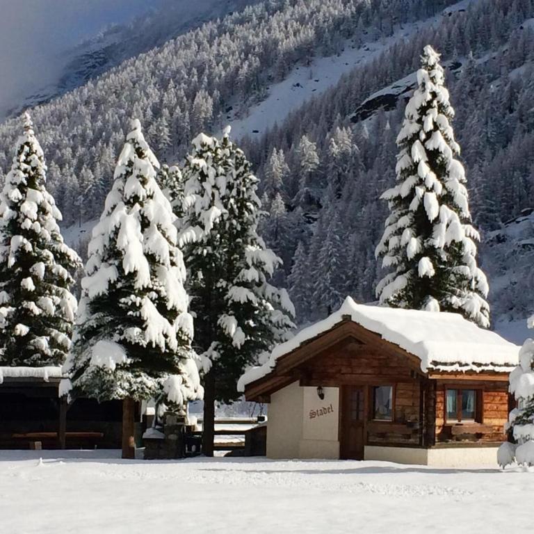 Chalet in Saas Fee near Ski Slopes - Chalet - 7