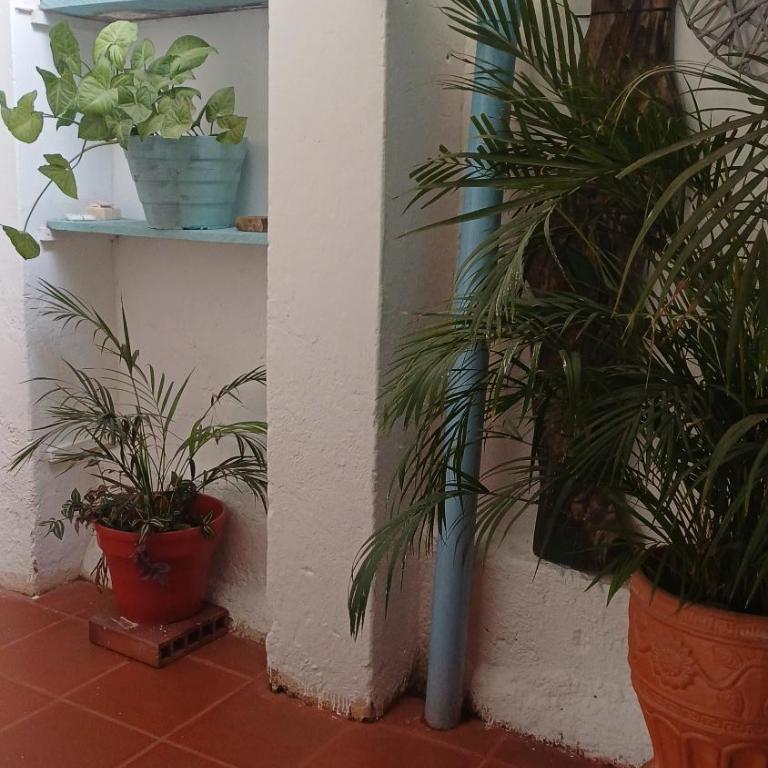 Hotel Casa Noche Azul Villa de leiva - Four-Bedroom Vacation Home - 61