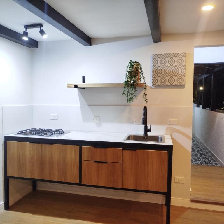Terra loft - Apartamento de 2 dormitorios - 5