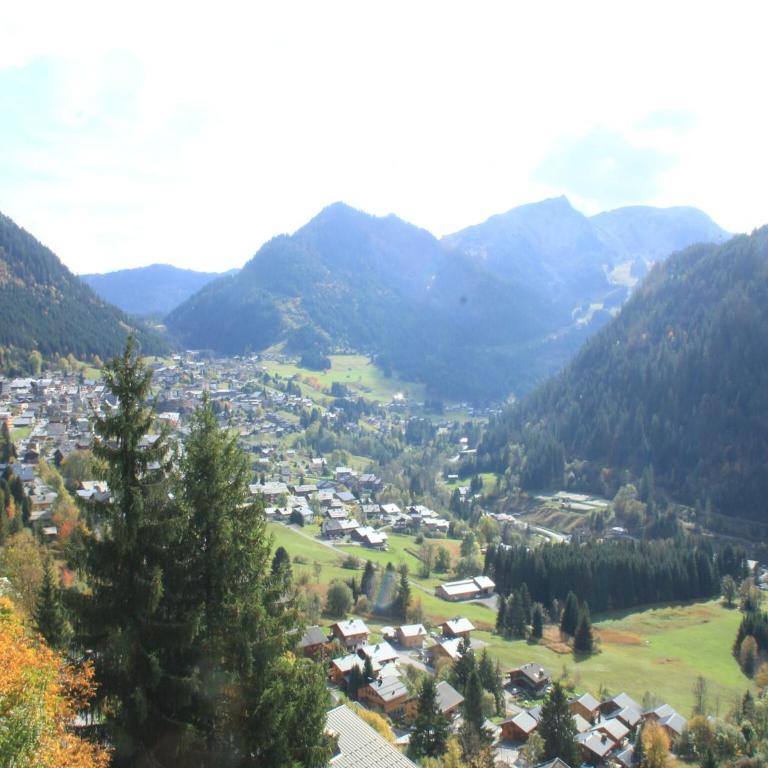 Apartment in Petit Châtel near Cable Car - Appartement 1 Chambre - 19