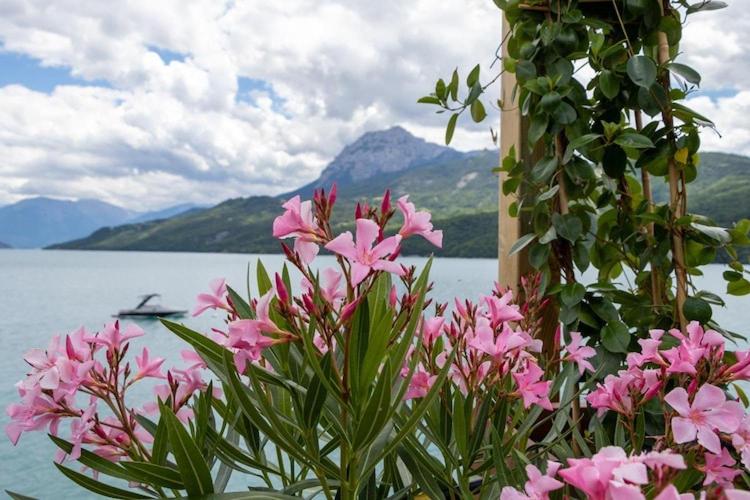 Mobile homes for 4 people with lake view in Residence L'Ecrin du Lac, Chorges - Appartement 3 Chambres - 14