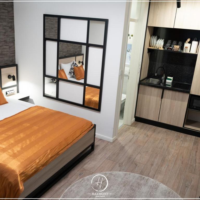 Harmony - Apartmani Tuzla - Deluxe Apartment - 1