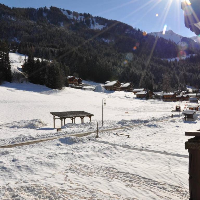 Perce Neige PNB23 NATURE & FAMILY 4 pers - Apartment - 10