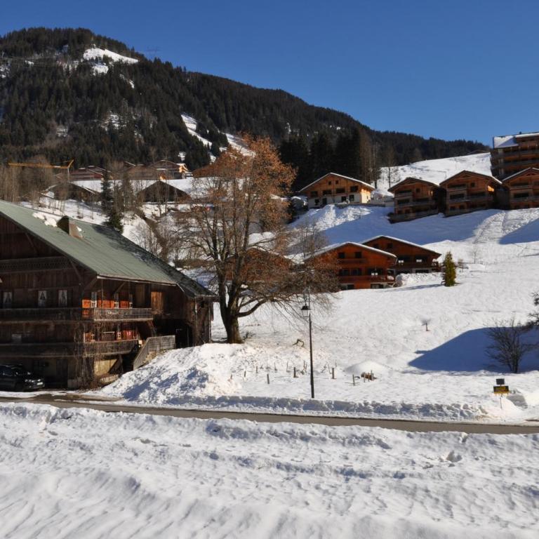 Perce Neige PNB23 NATURE & FAMILY 4 pers - Apartment - 11