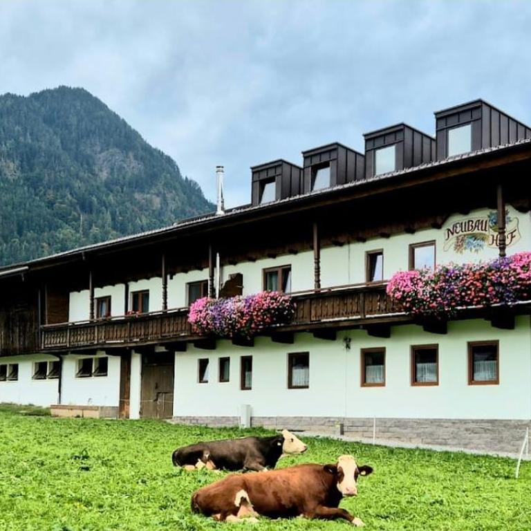 Neubauhof - Deluxe Doppelzimmer mit Zustellbett - 2